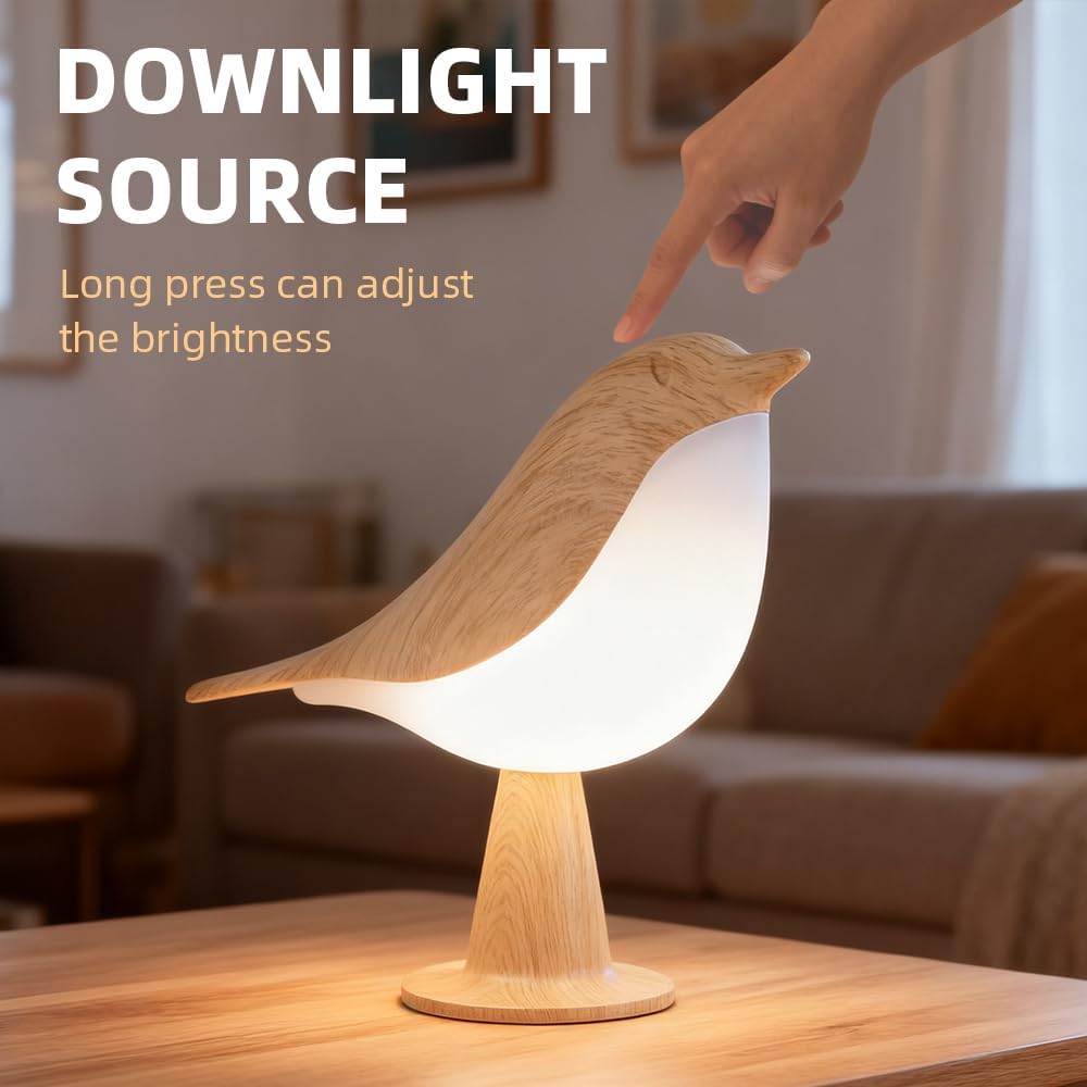 Cordless Bird Table Lamp, 3 Co - مراجعة Outdoor Lighting Lamps وسعره